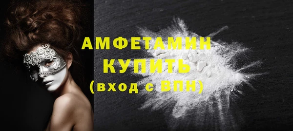 СК Алексин
