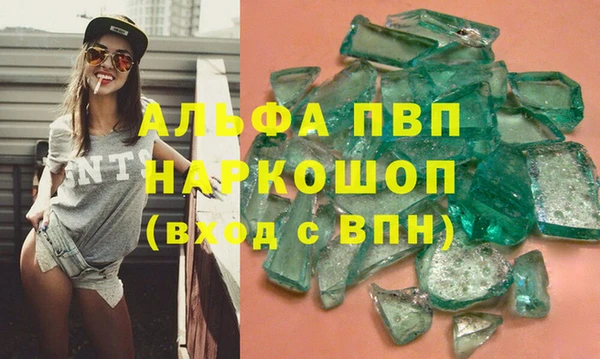 СК Алексин