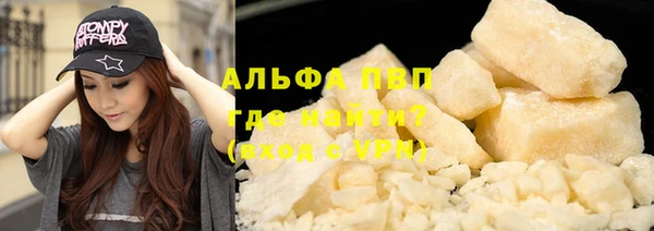 СК Алексин