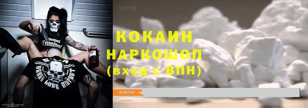 СК Алексин
