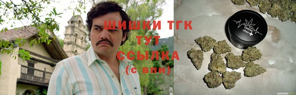 СК Алексин