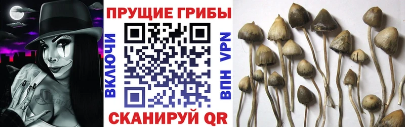 ссылка на мегу сайт  Разумное  это состав  Псилоцибиновые грибы мухоморы 